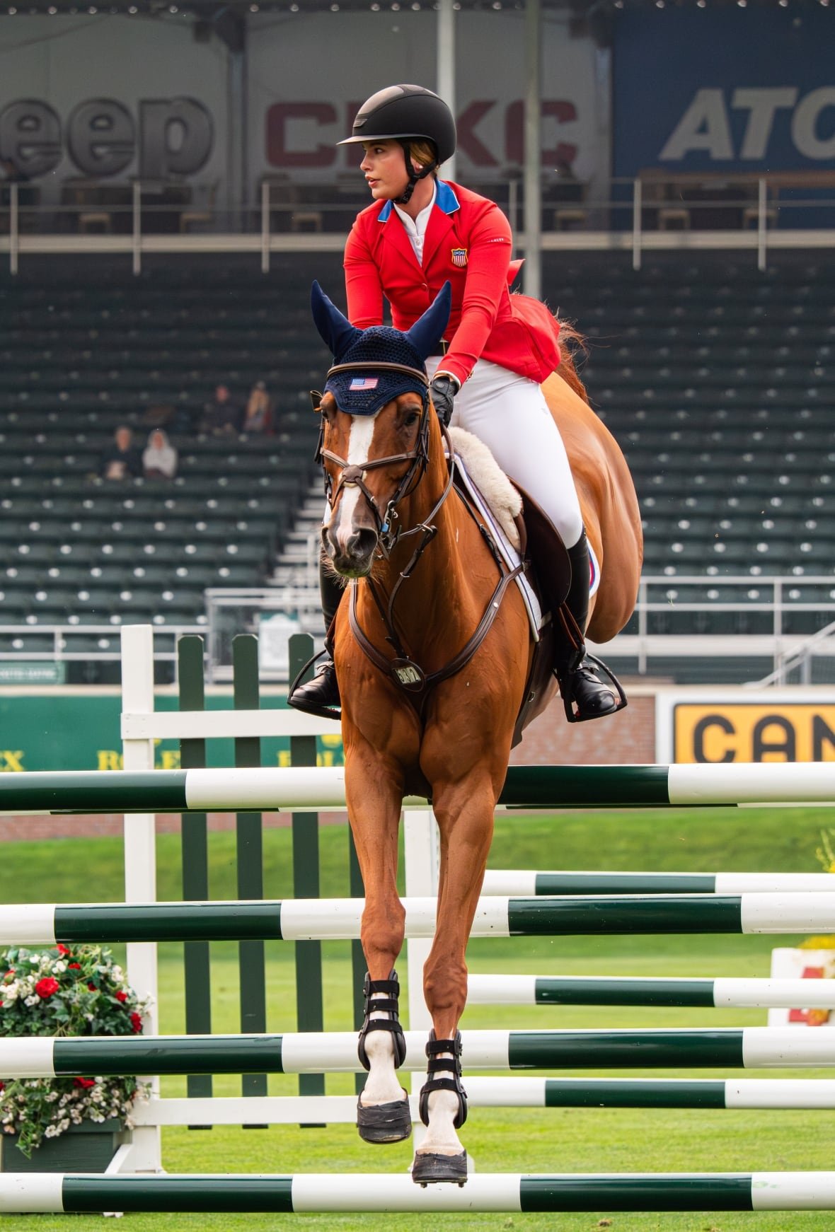 Elite performance horses, as per Martha Wort, are accustomed to traveling and quickly regain their competitive form after scheduled post-flight recovery.